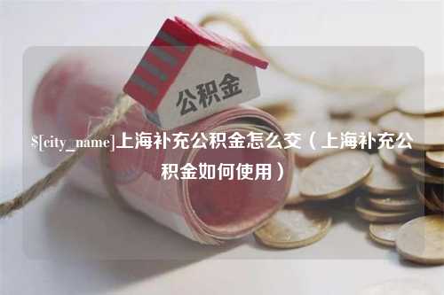 德州上海补充公积金怎么交（上海补充公积金如何使用）